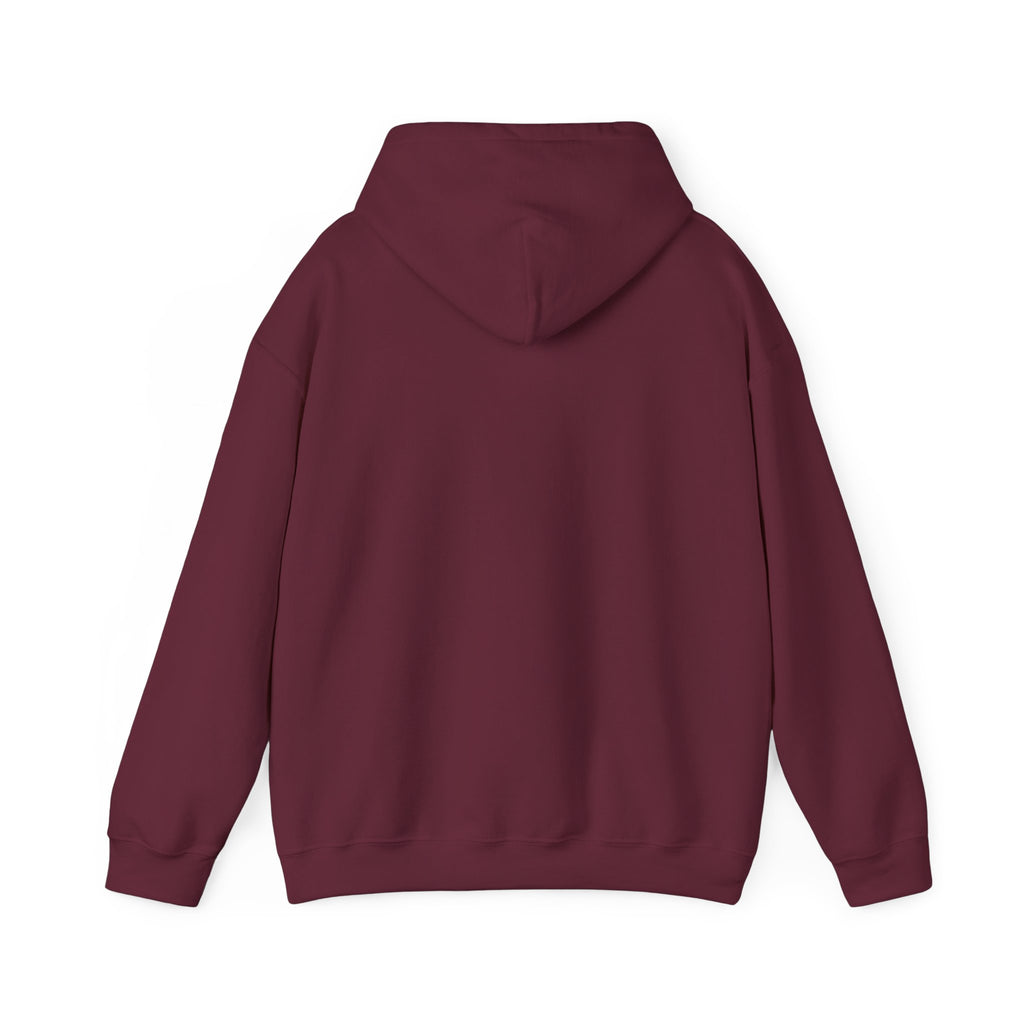 "AFCG License Plate" Hoodie