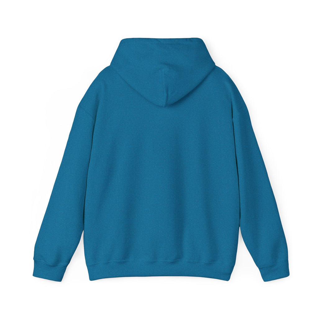 "Striper Assassin" Hoodie