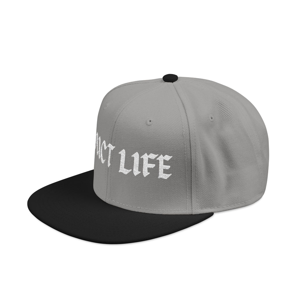 "DUCT LIFE" Snapback Hat