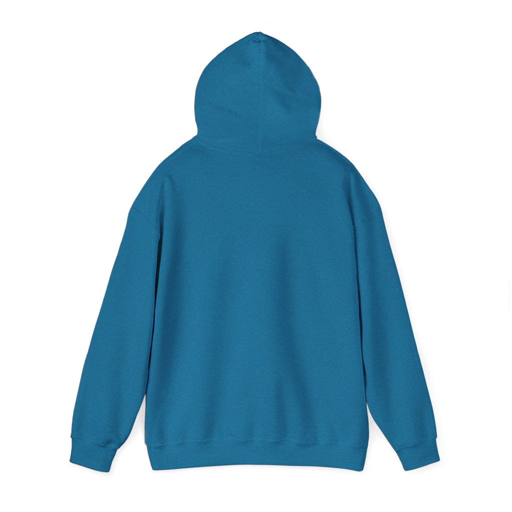 "Striper Assassin" Hoodie